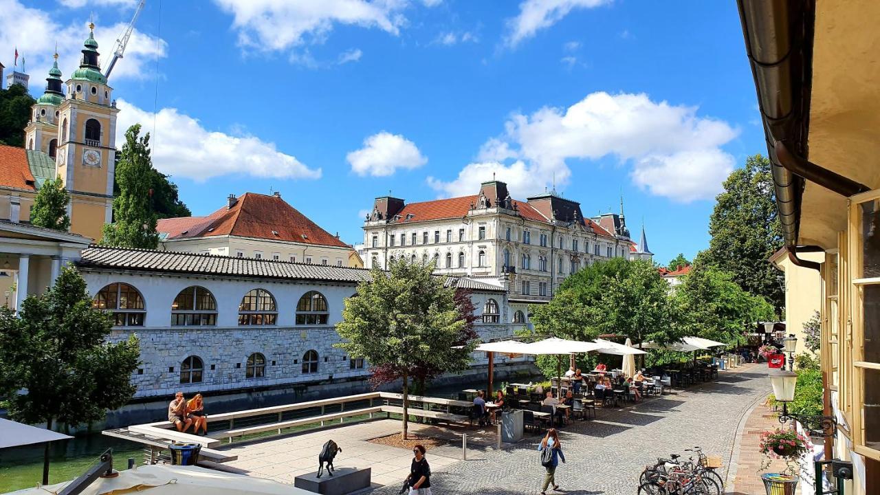 Petkovsek Rooms And Apartments Ljubljana Eksteriør bilde