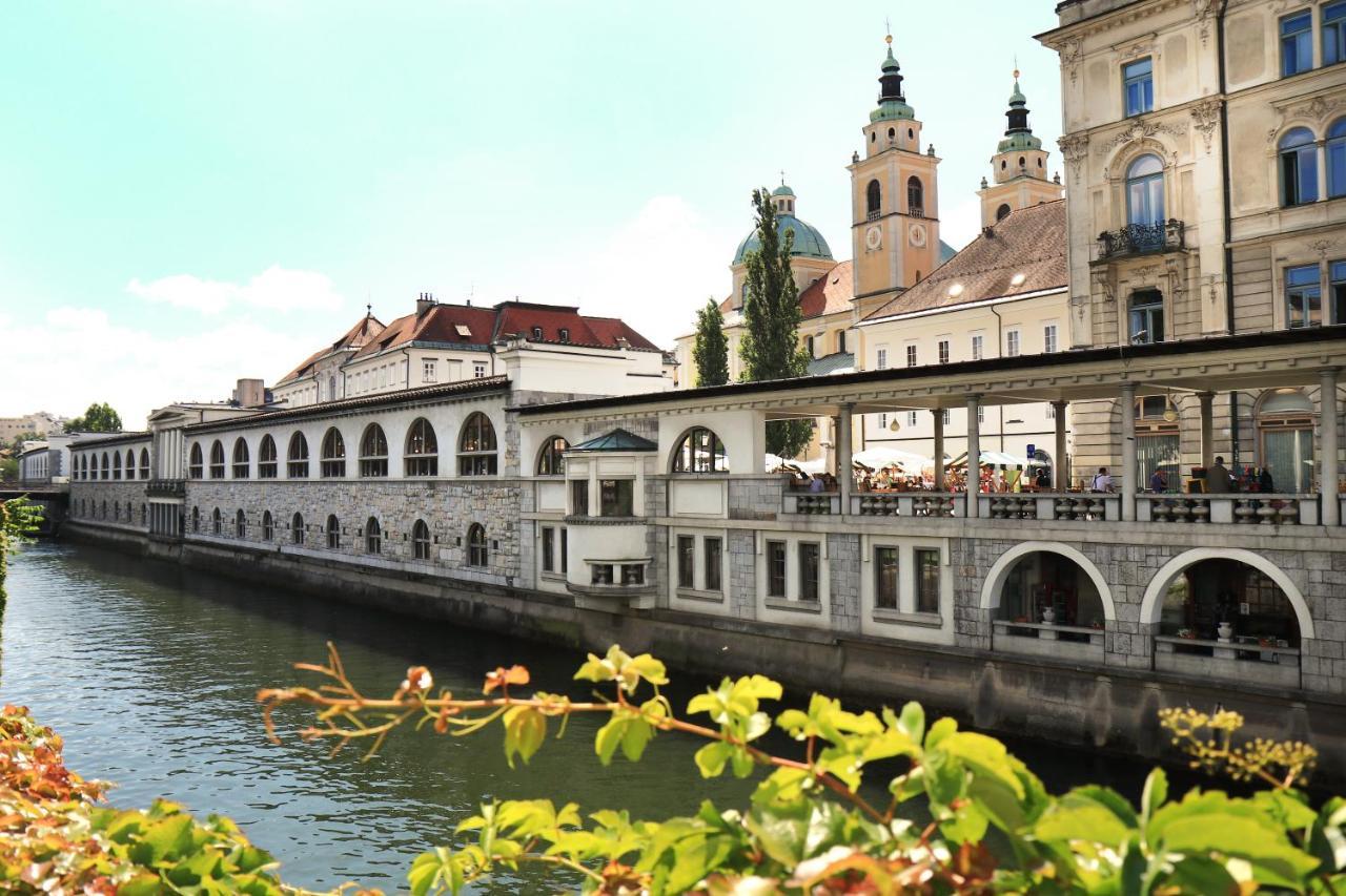 Petkovsek Rooms And Apartments Ljubljana Eksteriør bilde