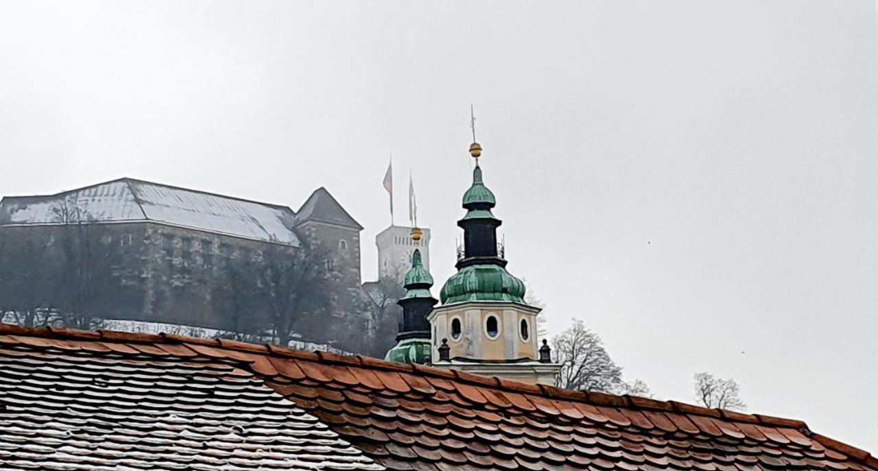 Petkovsek Rooms And Apartments Ljubljana Eksteriør bilde