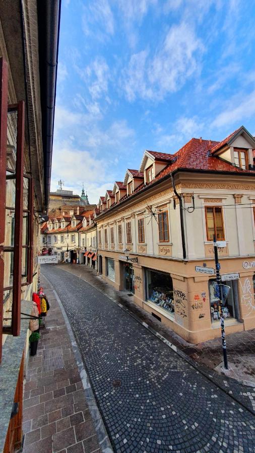 Petkovsek Rooms And Apartments Ljubljana Eksteriør bilde